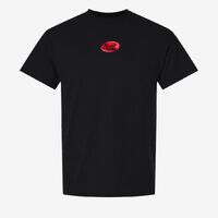 Unisex DryBlend® Tall T-Shirt Thumbnail